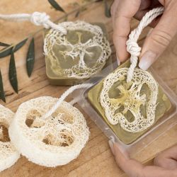 Esponja de luffa natural